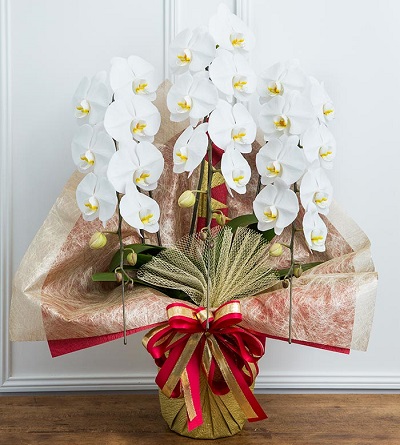 ���1���~�Ӓ���