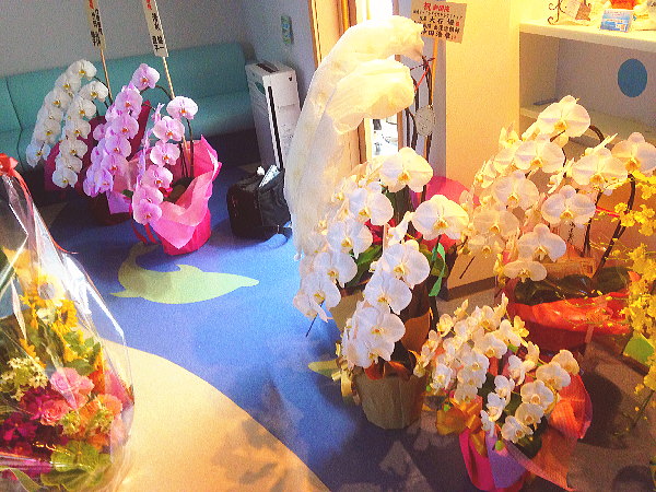 �Ӓ�����n���z�����