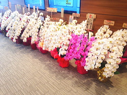 ���ł������ߌӒ���