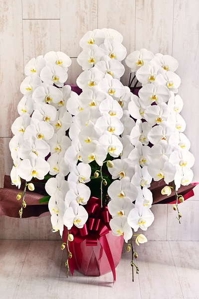 ���Ŋi���̌Ӓ���